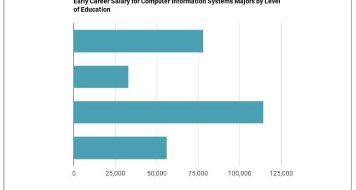 2023 Computer Information Systems Degree Guide